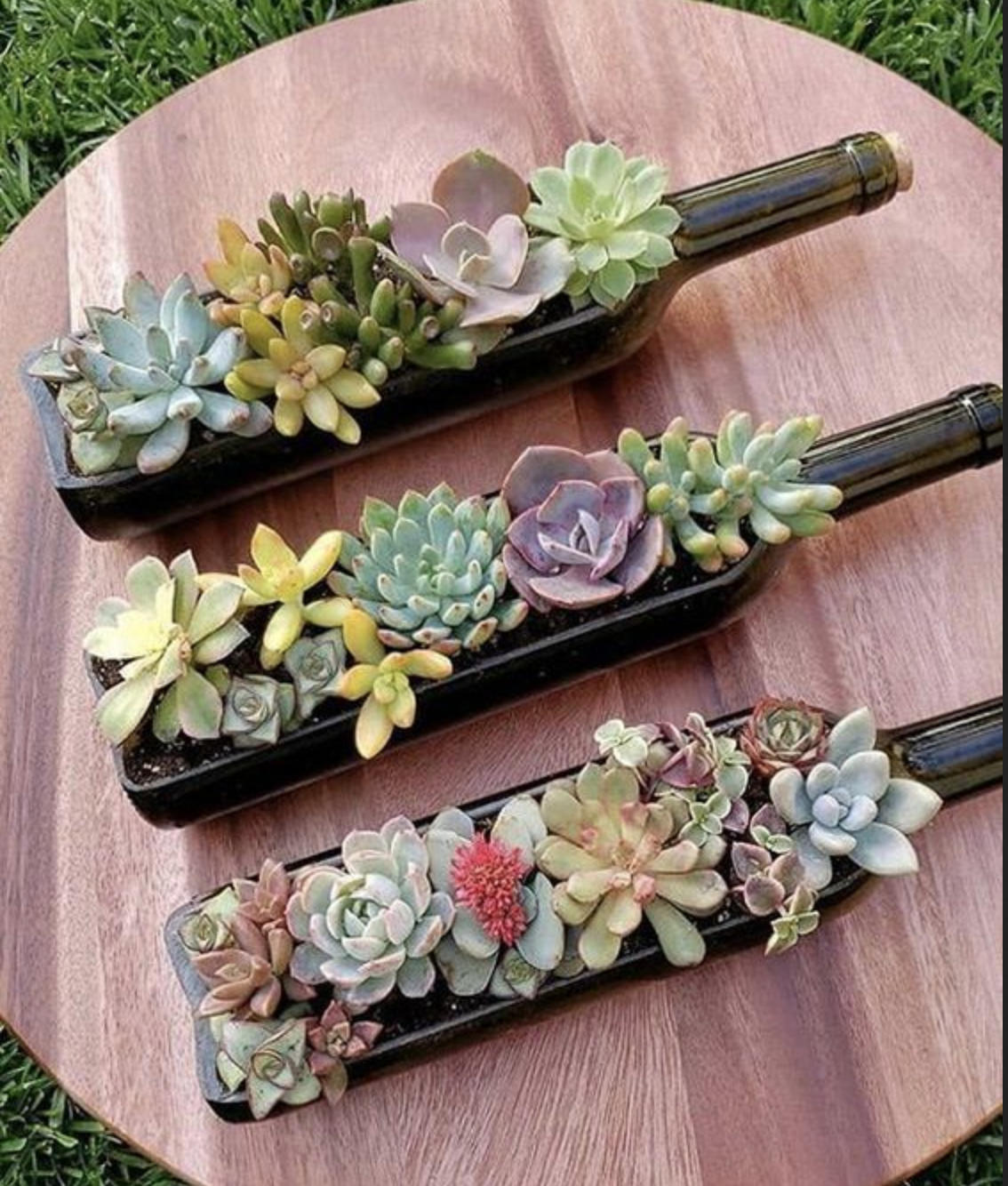 macetero con botellas de vino